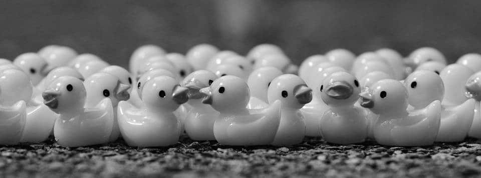 enten-sw opfermodus, selbstverantwortung,corssen,