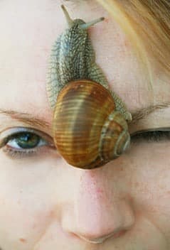 schnecke_auf_gesicht_xs_Miss X - photocase schnecke_auf_gesicht_xs_Miss X - photocase