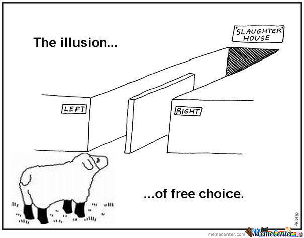 the-illusion-of-a-free-choice_o_869752 erfolgreich, erfolgreich leben, erfolg, kopp-wichmann, persoenlichkeits-blog