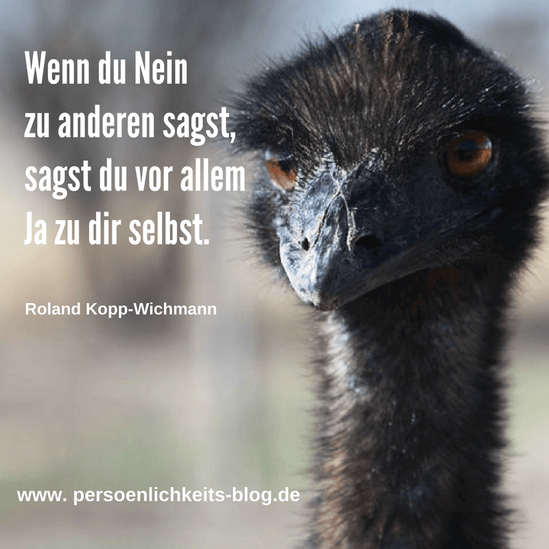 neinsagen, burnout, burn-out, ausbrennen, krise, emailkurs, kopp-wichmann,persoenlichkeits-blog,