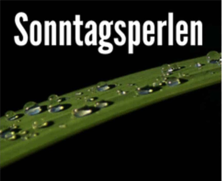 Sonntagsperlen-square Sonntagsperlen
