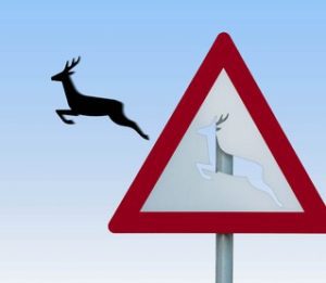 Bild: mbefoto - Fotolia schild hirsch_xs_mbefoto - Fotolia