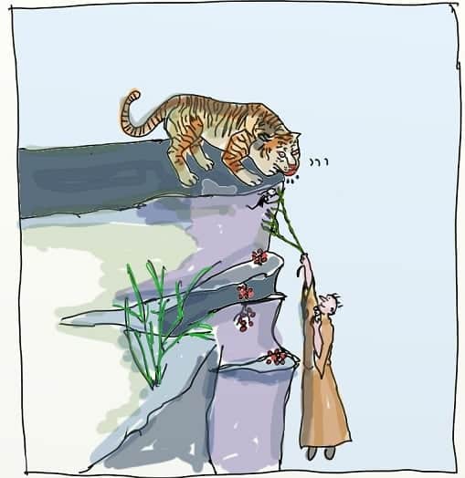 tiger-erdbeere-neu