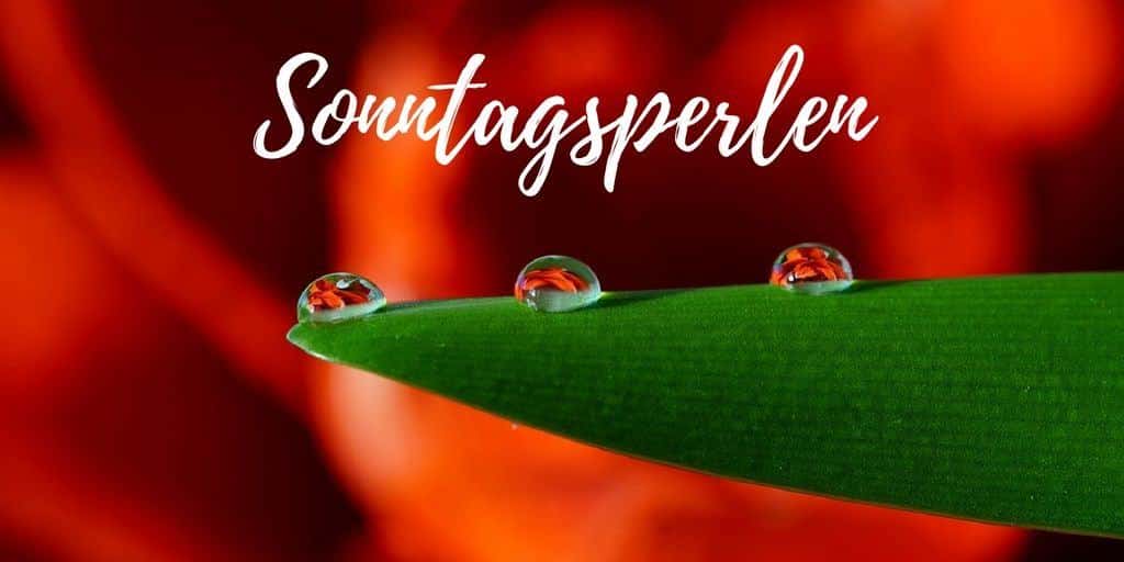 sonntagsperlen-logo1